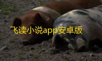飞读小说app安卓版